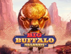 game logo by Skywind Group on rollxo-nz.com
