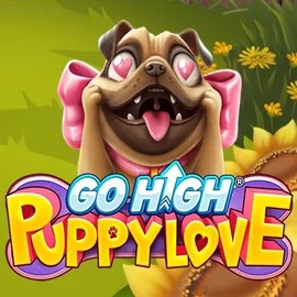 game logo by RubyPlay on rollxo-nz.com